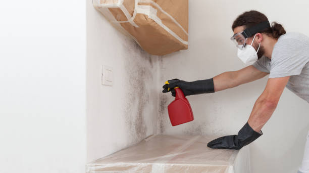 Professional Mold Testing technician working in Canton, MA