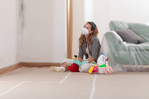 Reliable Mold Testing contractor in Canton, MA by WQB Mold Removal